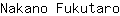 N***o