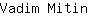 V***n