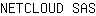 N***S