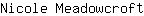 N***t