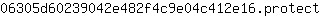 0***t
