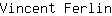 V***n