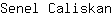 S***n