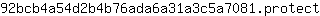 9***t