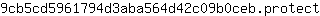 9***t