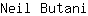 N***i