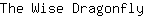 T***y