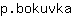 p***a