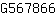 G***6