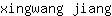 x***g