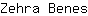Z***s