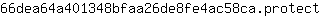 6***t