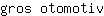 g***v