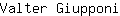 V***i