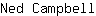 N***l