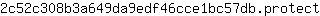 2***t