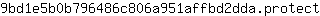 9***t