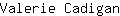 V***n