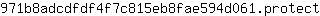 9***t