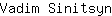 V***n