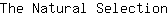 T***n
