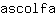 a***a
