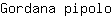 G***o