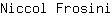 N***i