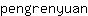 p***n