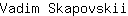 V***i