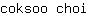 c***i