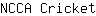 N***t