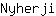 N***i