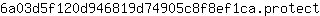 6***t