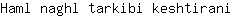 H***i