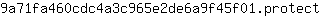 9***t