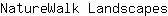 N***s