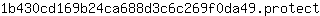 1***t