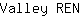 V***N