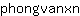 p***n
