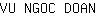 V***N