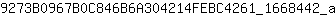 9***a