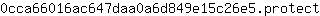 0***t