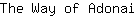 T***i