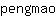 p***o