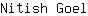 N***l
