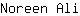 N***i
