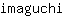i***i