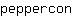 p***n