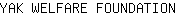 Y***N